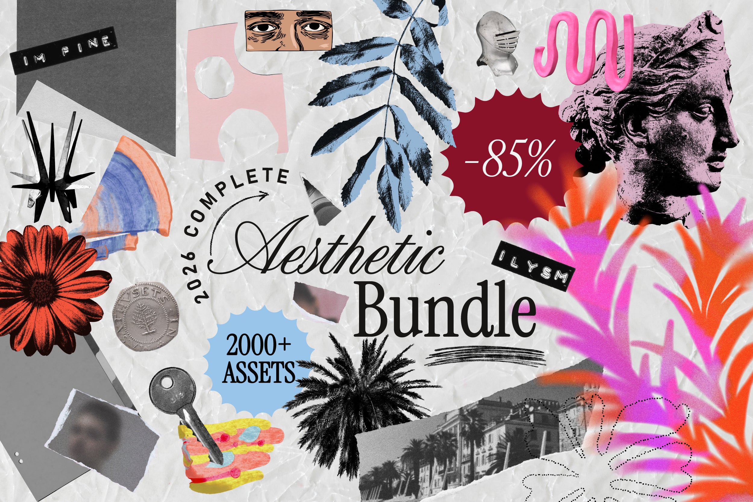 The 2026 Complete Aesthetic BUNDLE