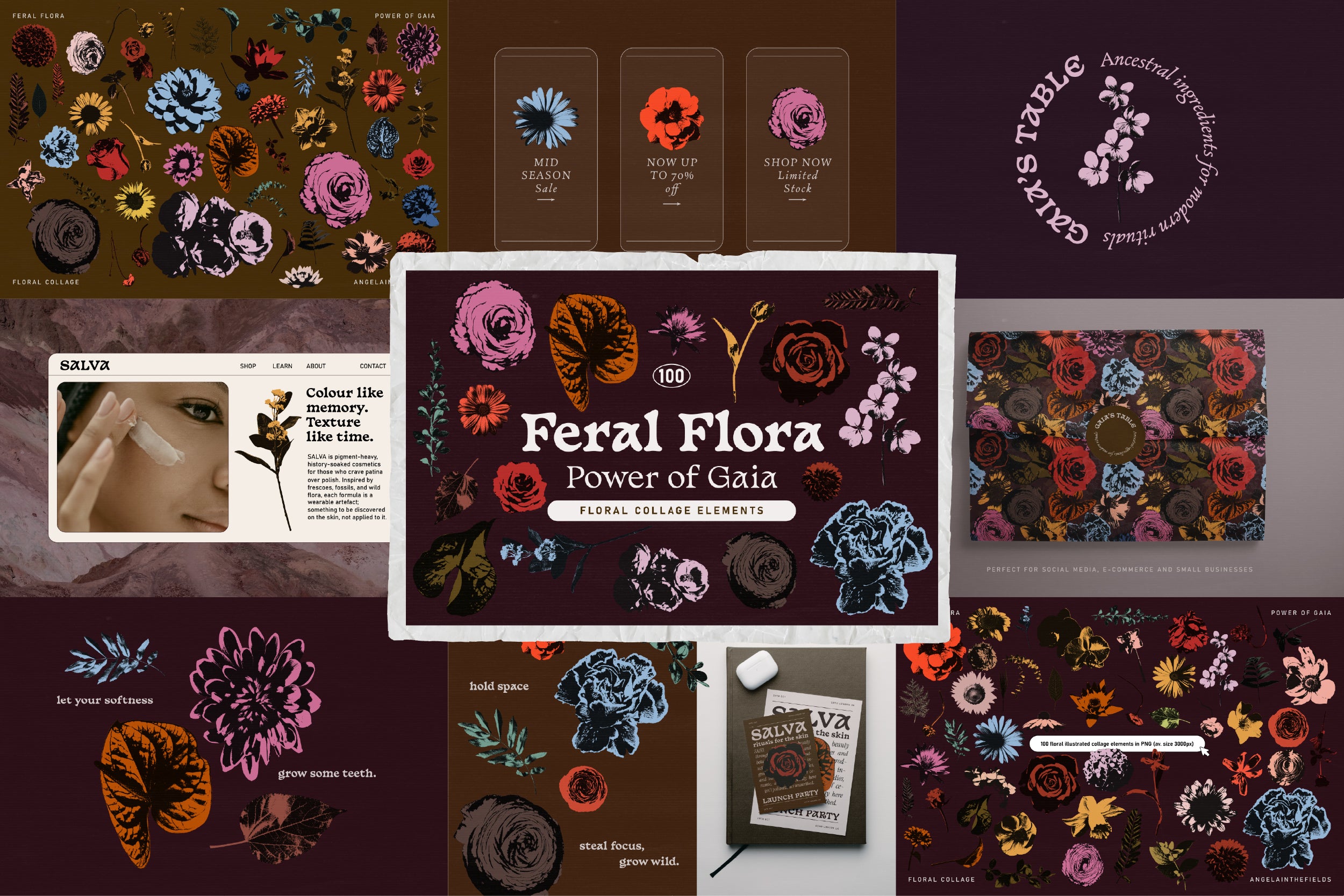 The 2026 Complete Aesthetic BUNDLE