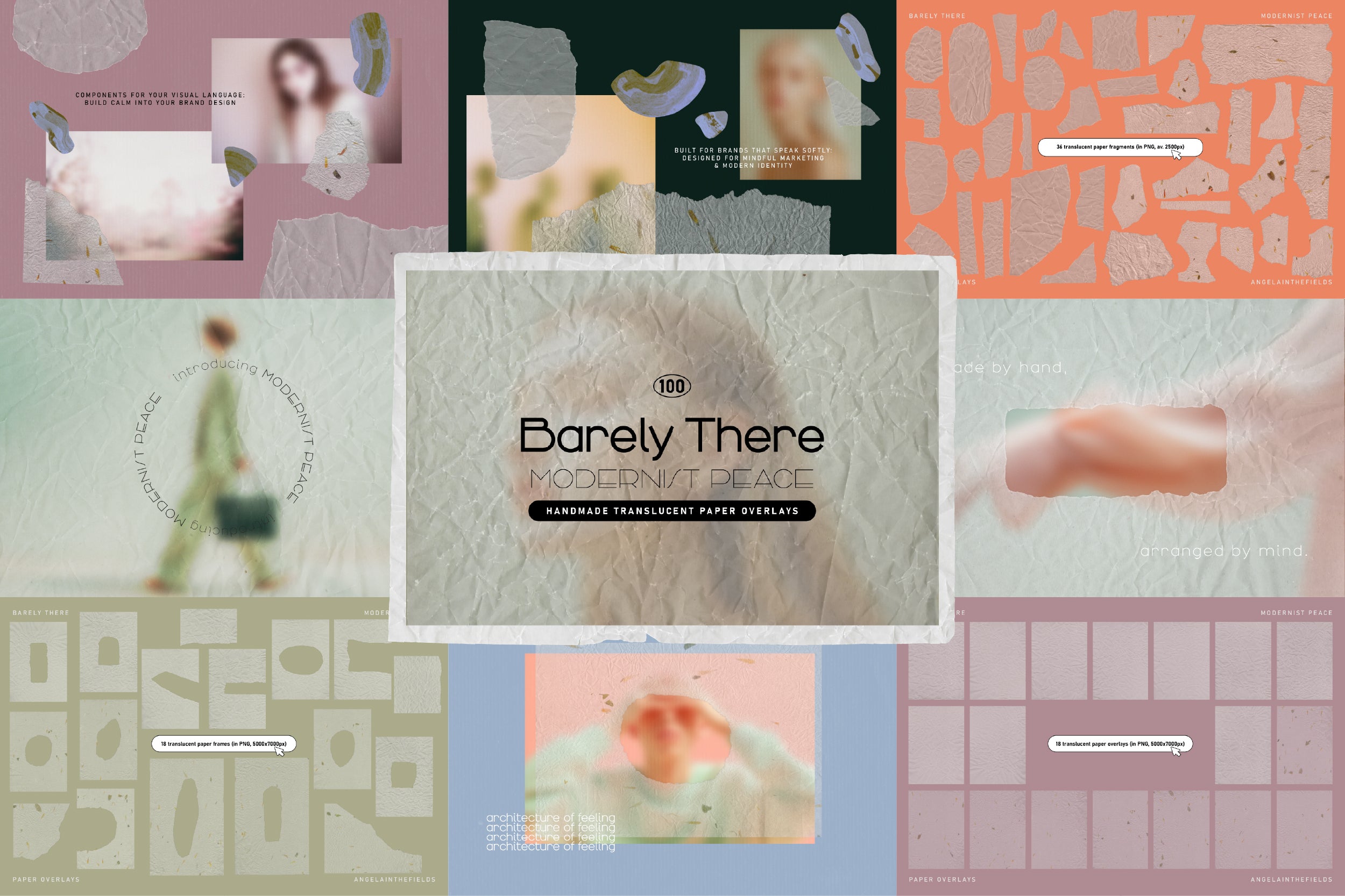 The 2026 Complete Aesthetic BUNDLE