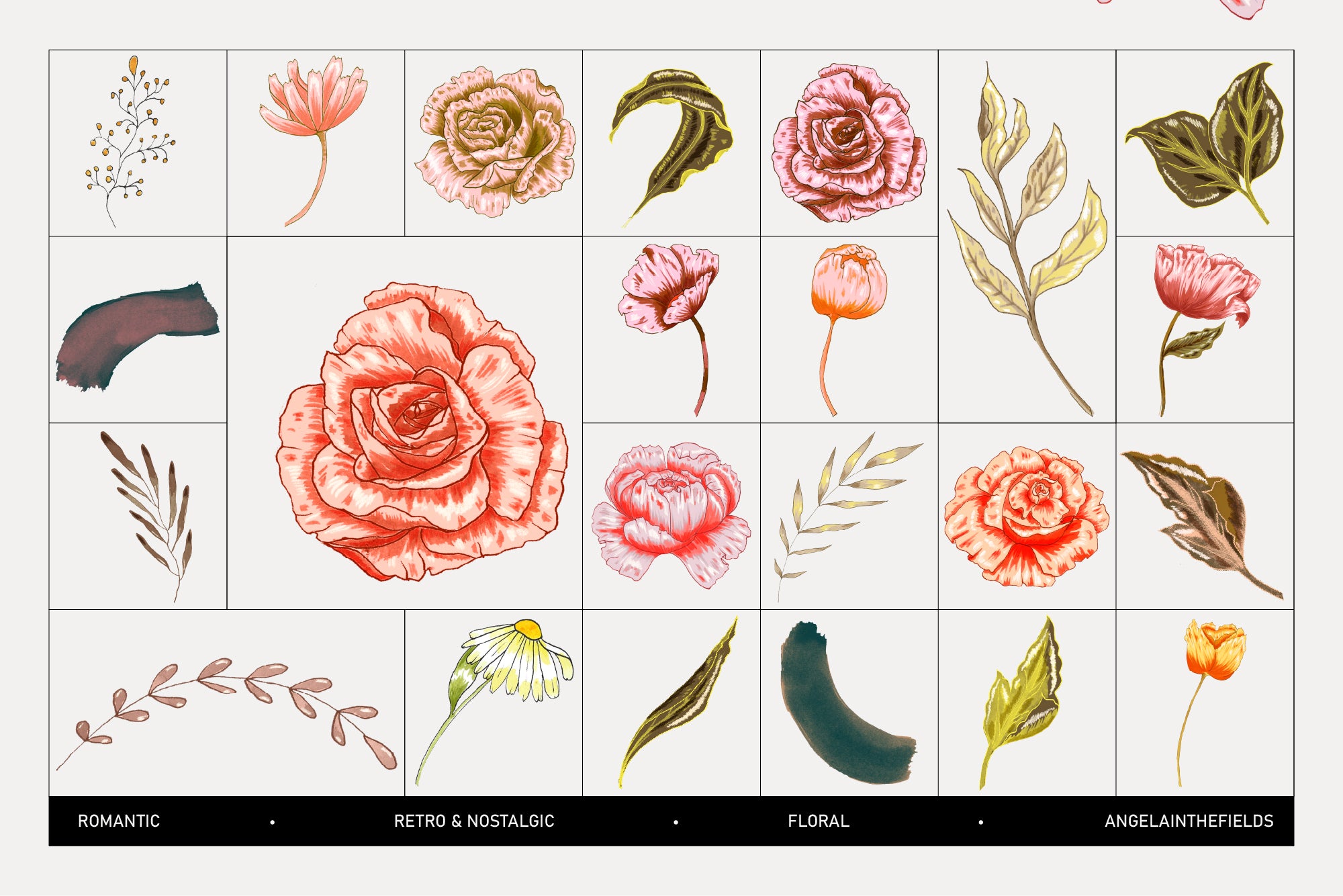 Classica Floral Illustrations