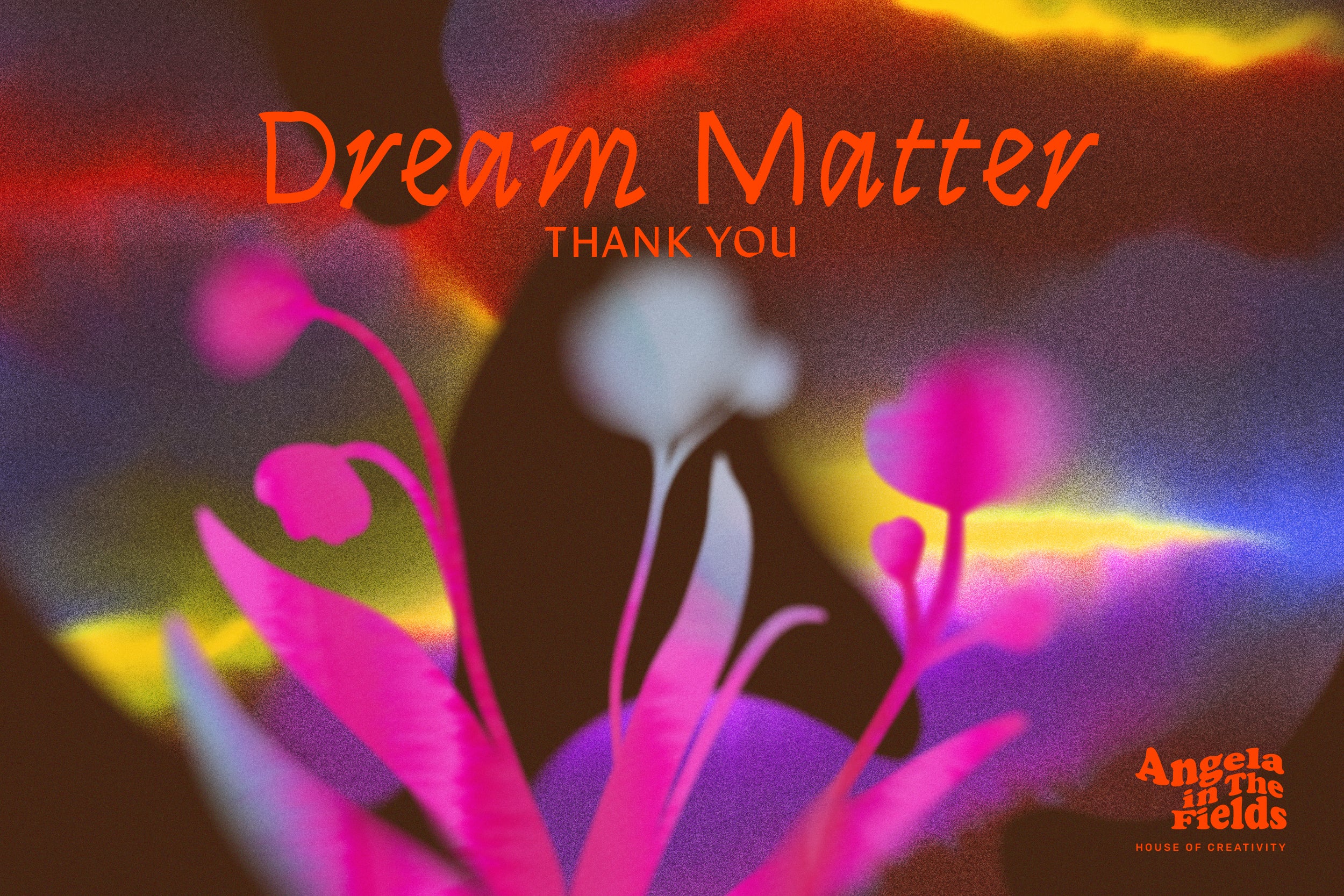 DREAM MATTER Atmospheric Elements