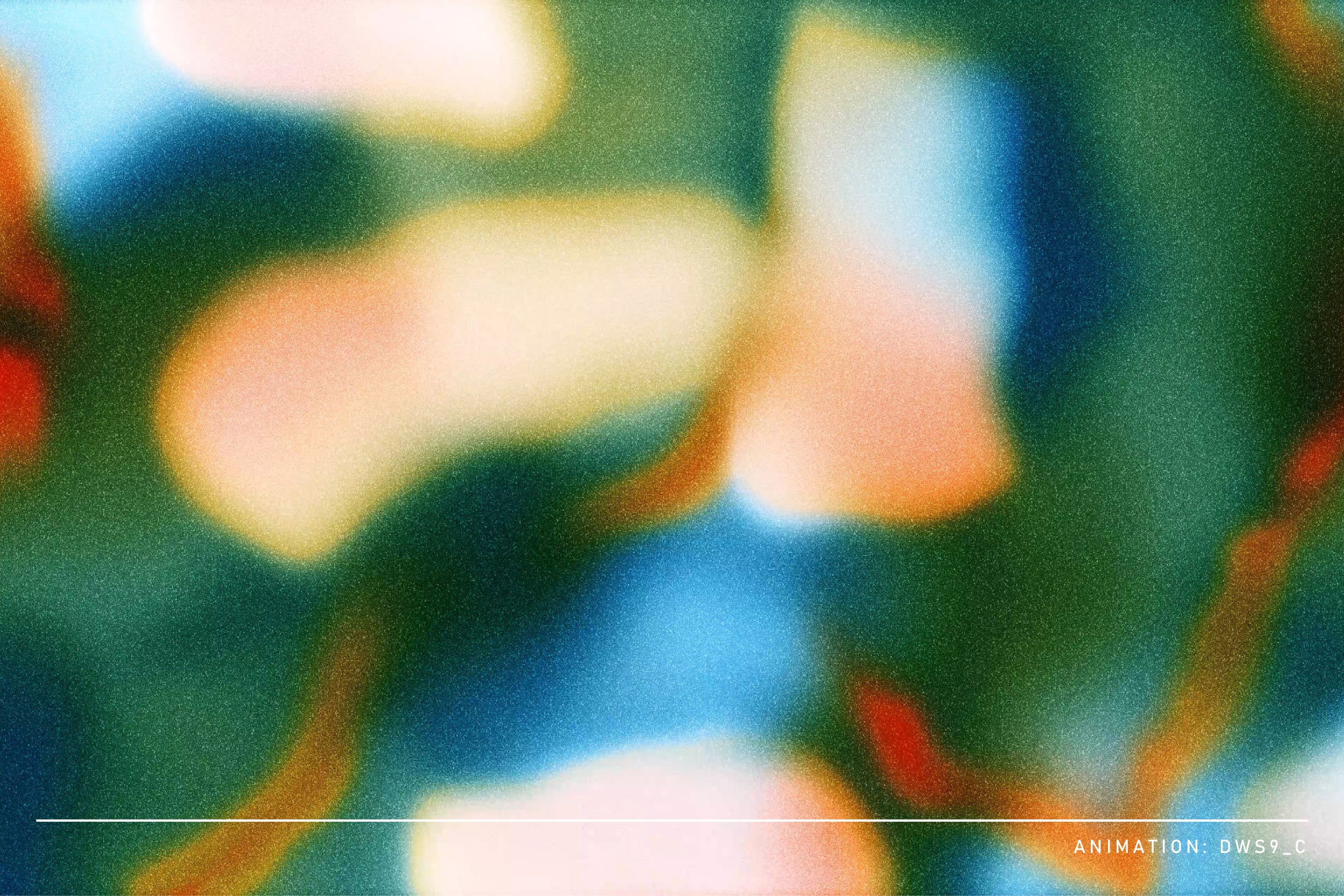 Echo Motion Animated Backgrounds
