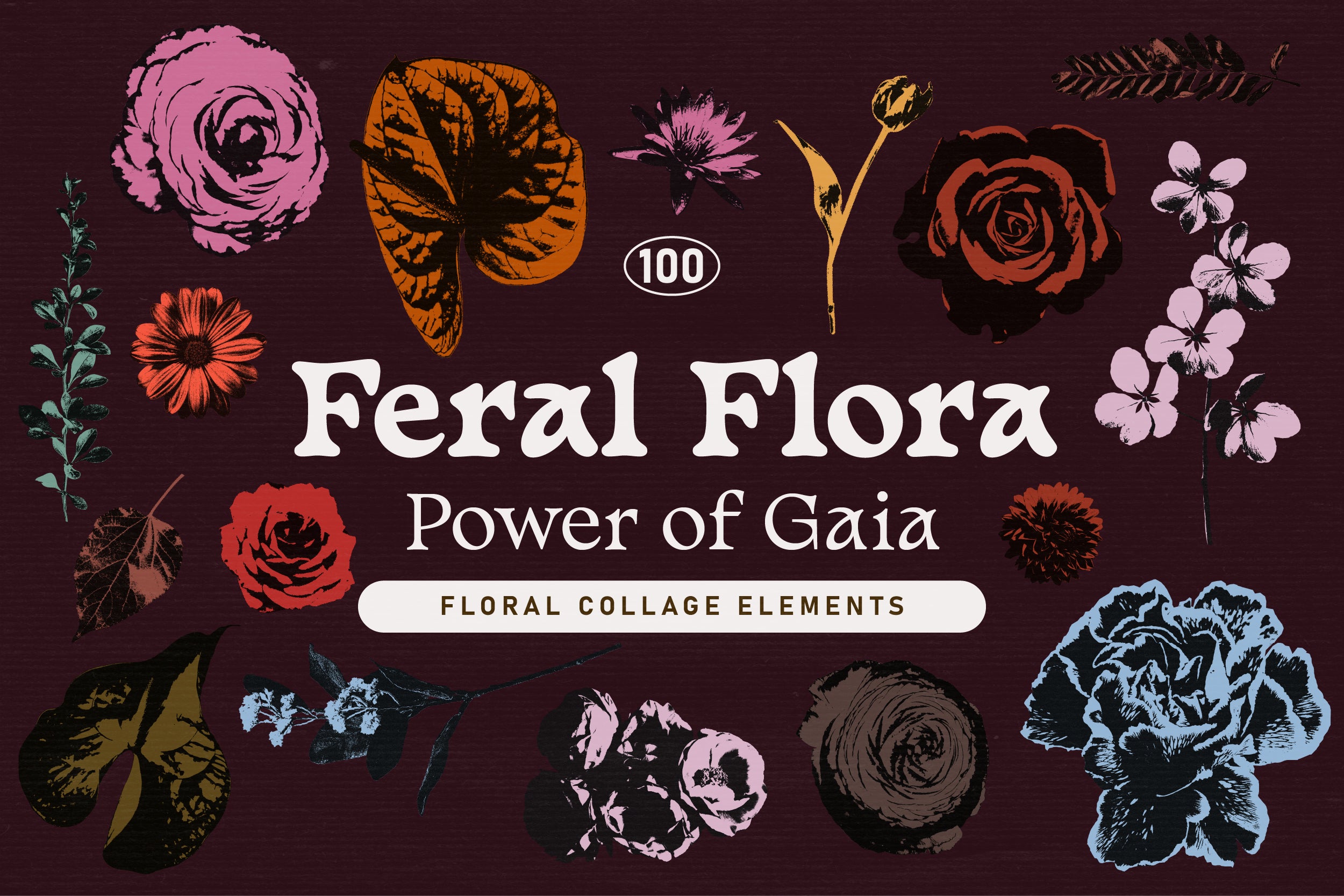 FERAL FLORA Collage Elements