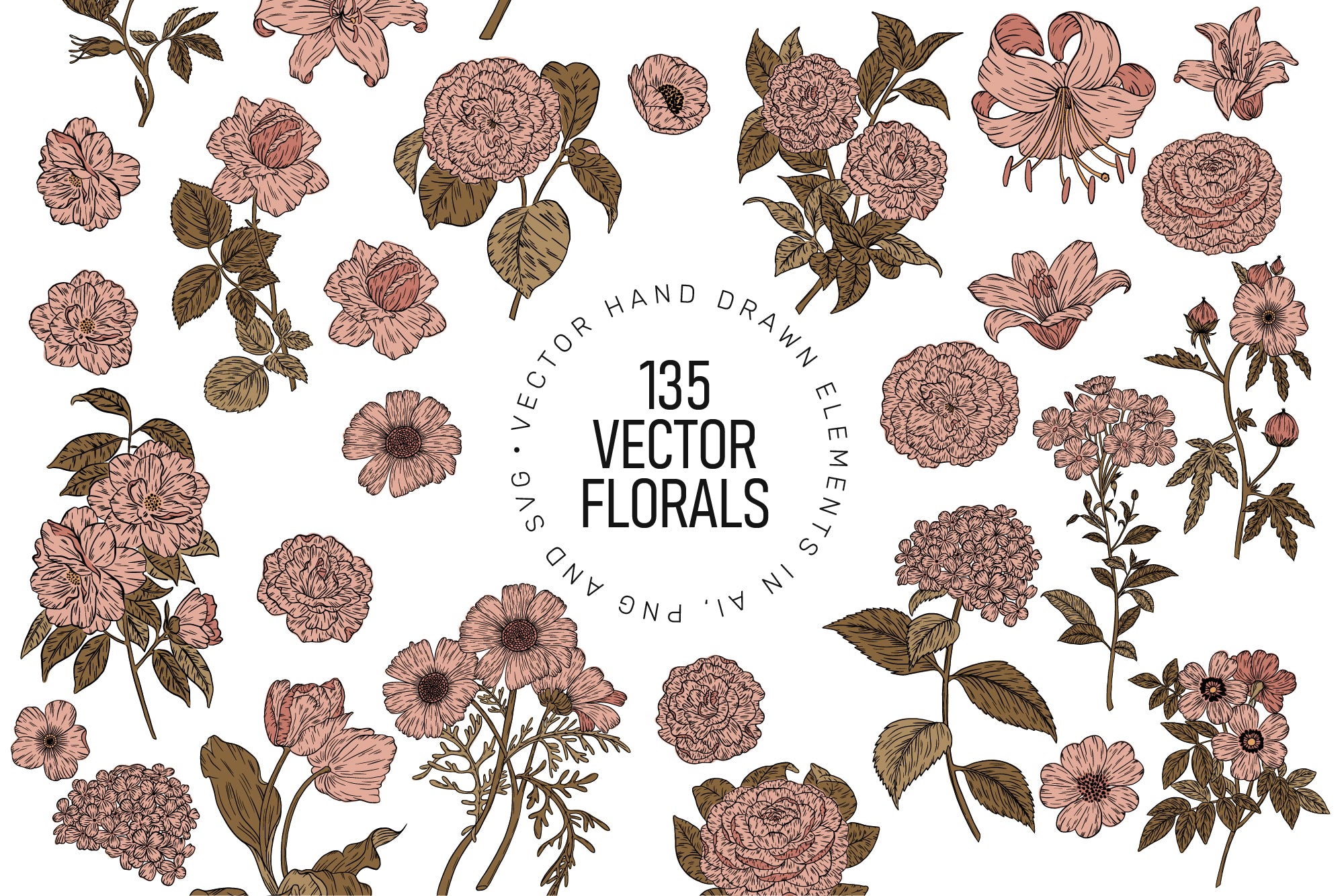 FLORA BOTANICA Vector Illustrations
