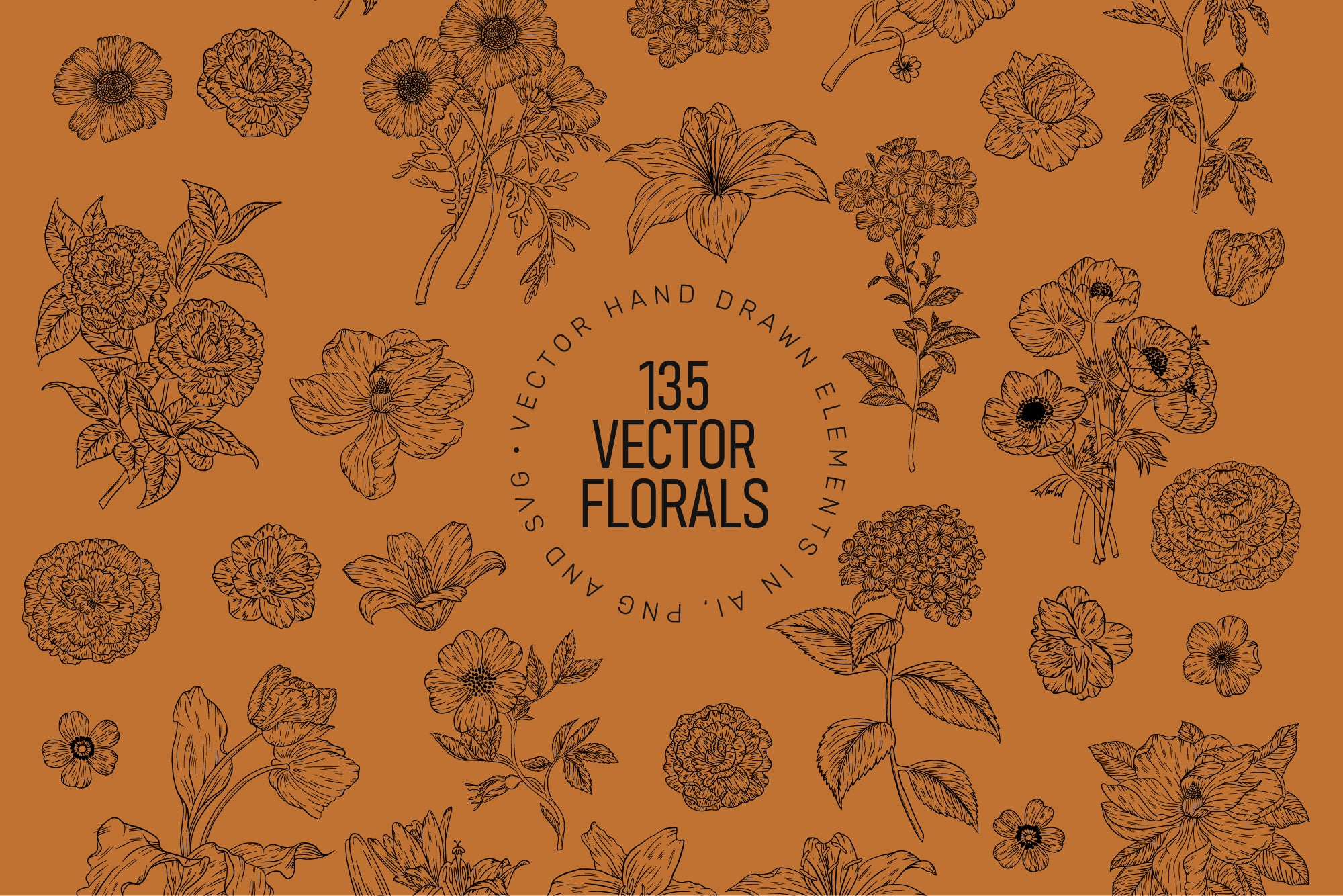 FLORA BOTANICA Vector Illustrations