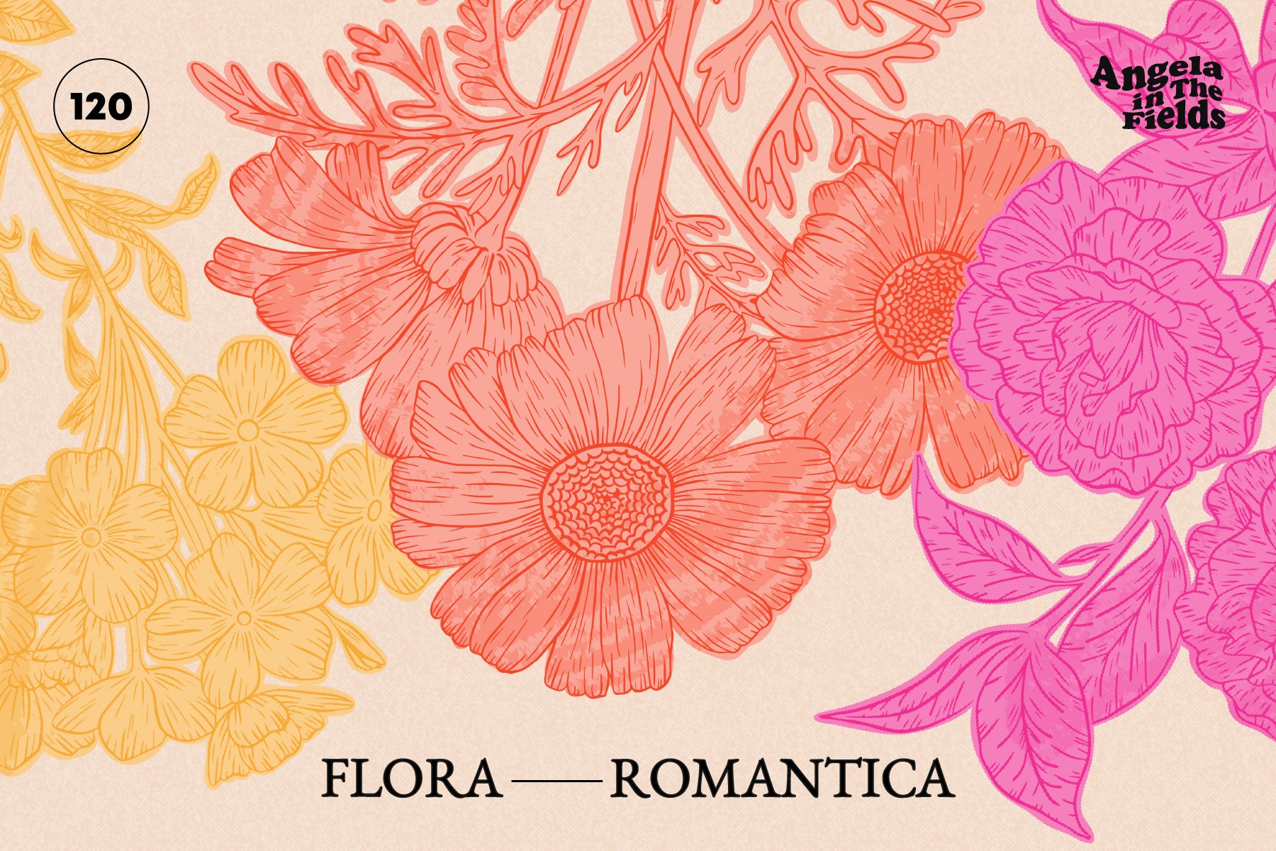 Flora Romantica Vector Florals